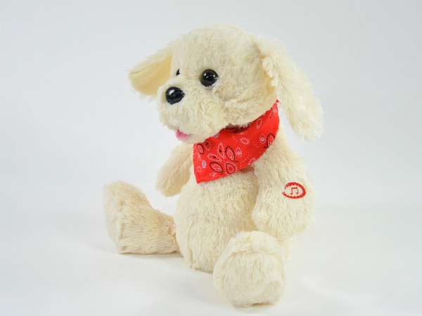 Singender Tanzender Hund Armin