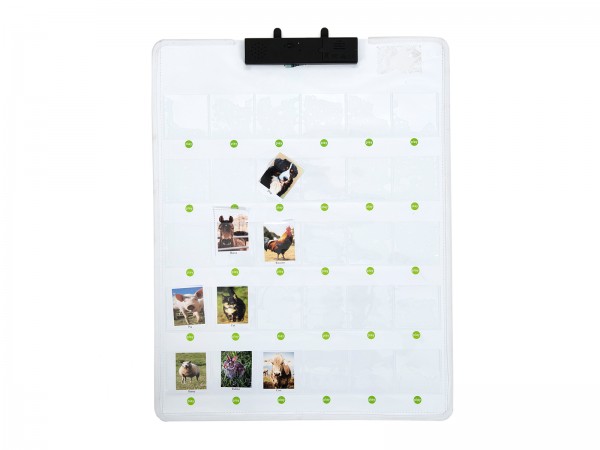 Active Interaktiver Lerntrainer | 30 Sprechende Sprechende Tasten Active Interaktiver Lerntrainer | 30 Sprechende Sprechende Tasten