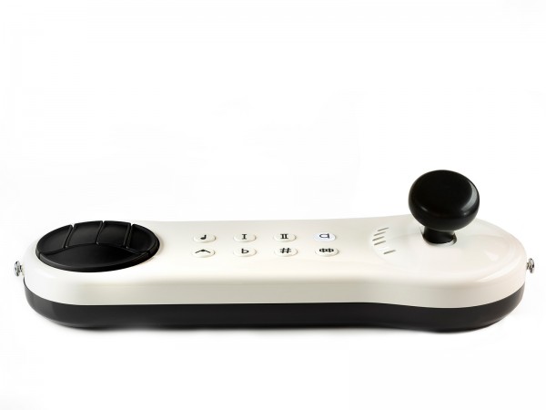 Instrument de musique Arcana Strum