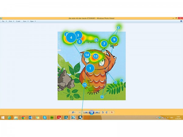 Gaze Viewer Software