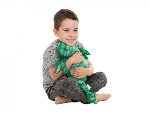 Manimo Eidechse - Gewichtskissen