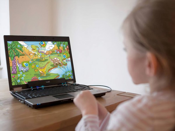 Gaze Viewer Software