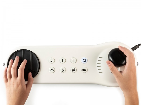 Instrument de musique Arcana Strum