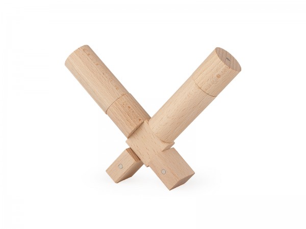 Kleine Magnetische Holzbauklötze (50 Stück)