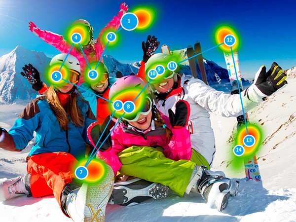 Gaze Viewer Software