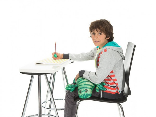 Manimo Eidechse - Gewichtskissen