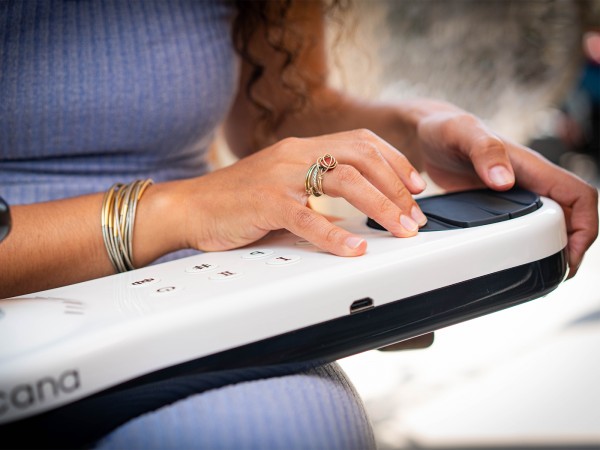 Instrument de musique Arcana Strum